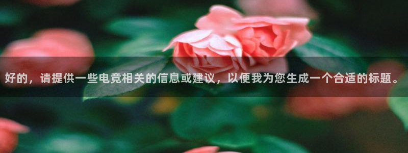vkgame威客电竞官网