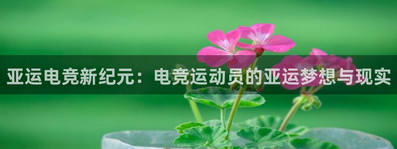 威客电竞吧官网安卓版：亚运电竞新纪元：电竞运动员的亚运梦想与现实