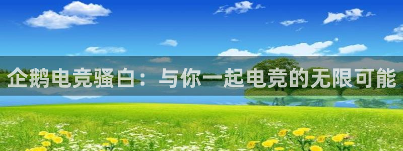 vkgame 威客电竞：企鹅电竞骚白：与你一起电竞的无限可能