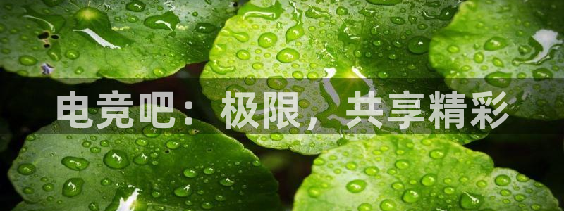 威客电竞官网：电竞吧：极限，共享精彩