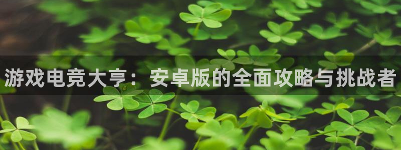 威客电竞·(中国)VKGAMING：游戏电竞大亨：安卓版的全面攻略与挑战者