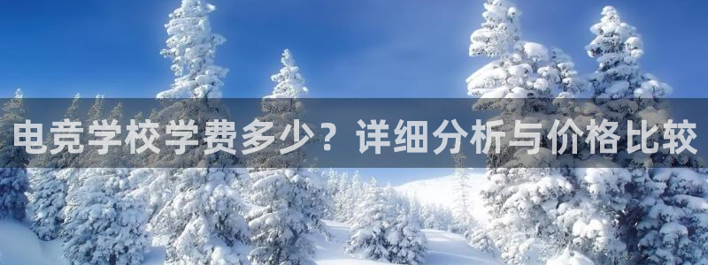 vk威客电竞：电竞学校学费多少？详细分析与价格比较