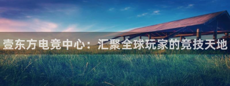 威客电竞·(中国)VKGAMING：壹东方电竞中心：汇聚全球玩家的竞技天地