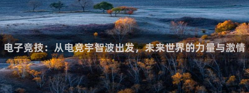 vkgame威客电竞官网：电子竞技：从电竞宇智波出发，未来世界的力量与激情