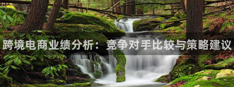 威客电竞：跨境电商业绩分析：竞争对手比较与策略建议