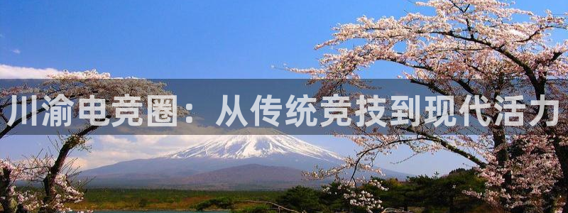 威客电竞客：川渝电竞圈：从传统竞技到现代活力