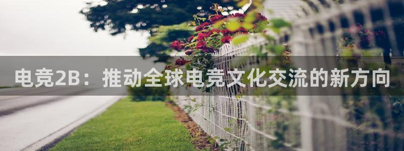 威客电竞vkgame官网：电竞2B：推动全球电竞文化交流的新方向