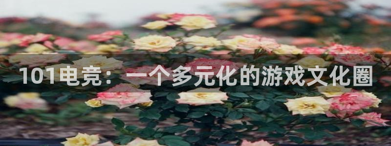 威客电竞vkgame官网：101电竞：一个多元化的游戏文化圈