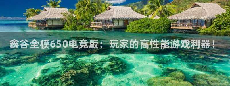威客电竞测速：鑫谷全模650电竞版：玩家的高性能游戏利器！