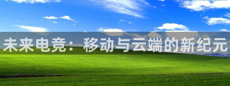 vkgame 威客电竞：未来电竞：移动与云端的新纪元