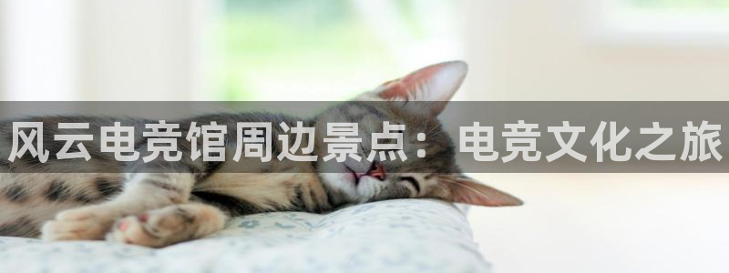 威客电竞客服：风云电竞馆周边景点：电竞文化之旅