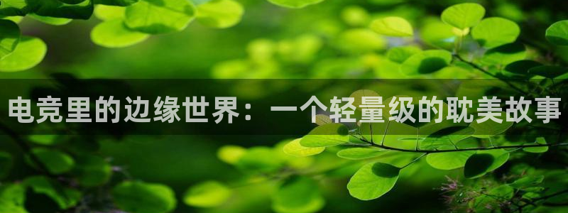 威客电竞集团：电竞里的边缘世界：一个轻量级的耽美故事