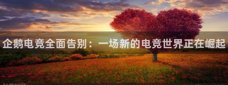 威客电竞官网：企鹅电竞全面告别：一场新的电竞世界正在崛起