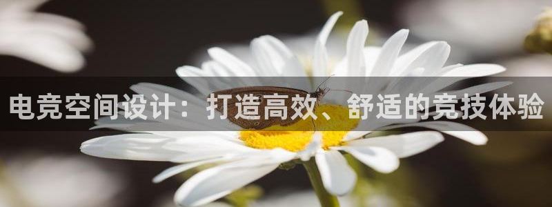 vk威客电竞：电竞空间设计：打造高效、舒适的竞技体验