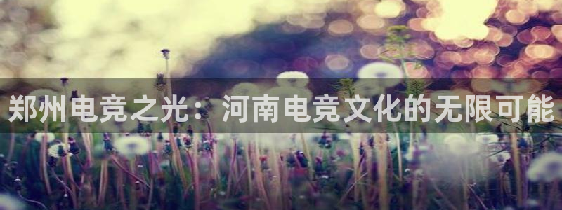 威客电竞：郑州电竞之光：河南电竞文化的无限可能