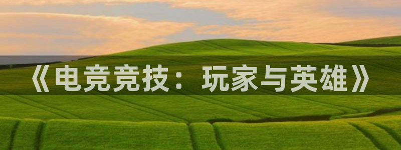威客电竞·(中国)VKGAMING：《电竞竞技：玩家与英雄》