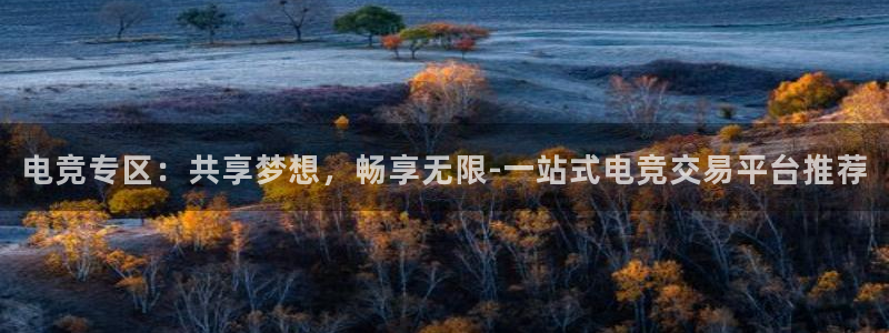 威客电竞VKGAME：电竞专区：共享梦想，畅享无限-一站式电竞交易平台推荐