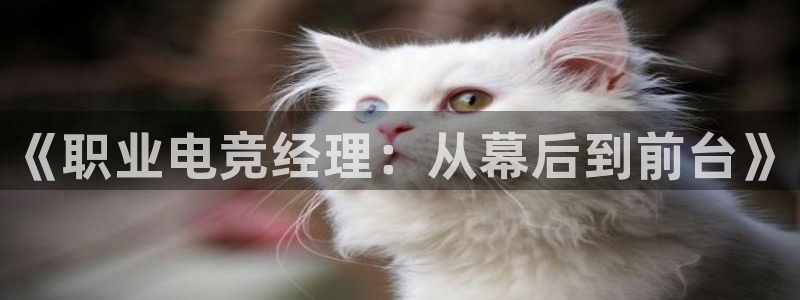 威客电竞：《职业电竞经理：从幕后到前台》