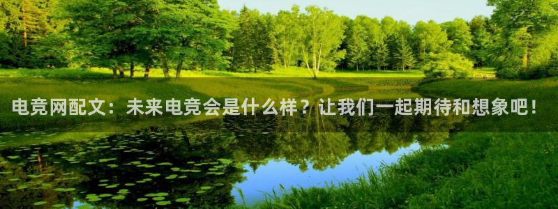 vk威客电竞：电竞网配文：未来电竞会是什么样？让我们一起期待和想象吧！