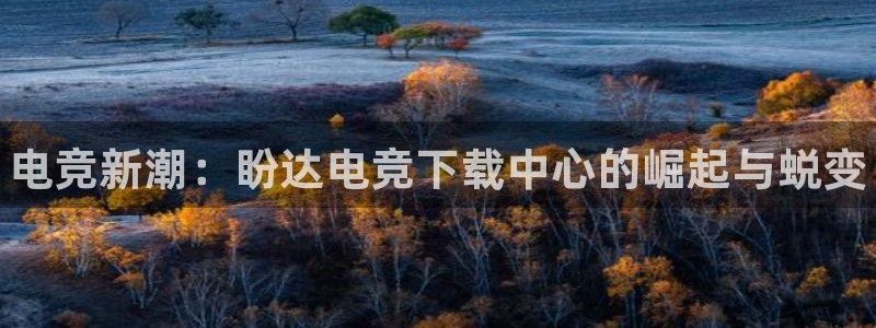 威客电竞网页版入口：电竞新潮：盼达电竞下载中心的崛起与蜕变