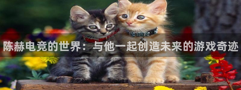 vkgame威客电竞：陈赫电竞的世界：与他一起创造未来的游戏奇迹