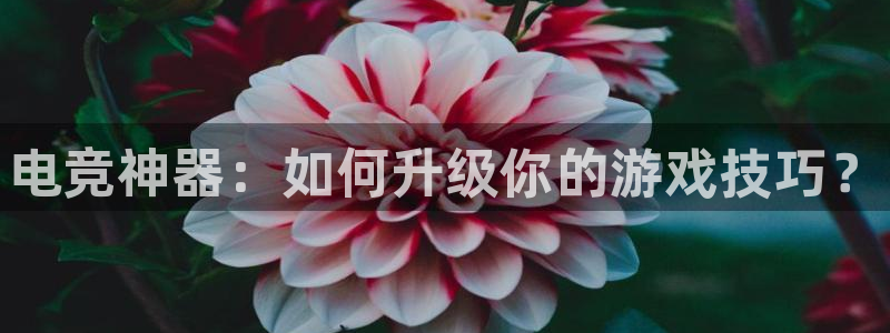 威客电竞酒店：电竞神器：如何升级你的游戏技巧？