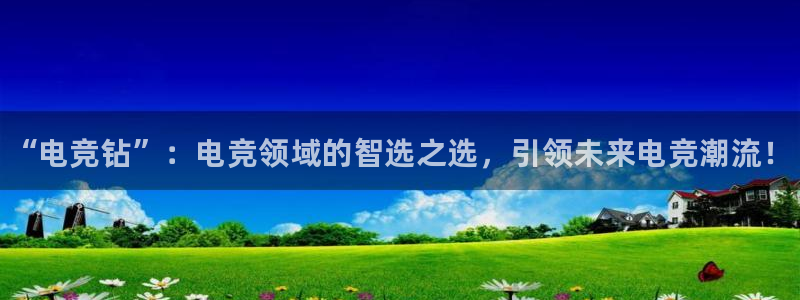 威客电竞集团：“电竞钻”：电竞领域的智选之选，引领未来电竞潮流！