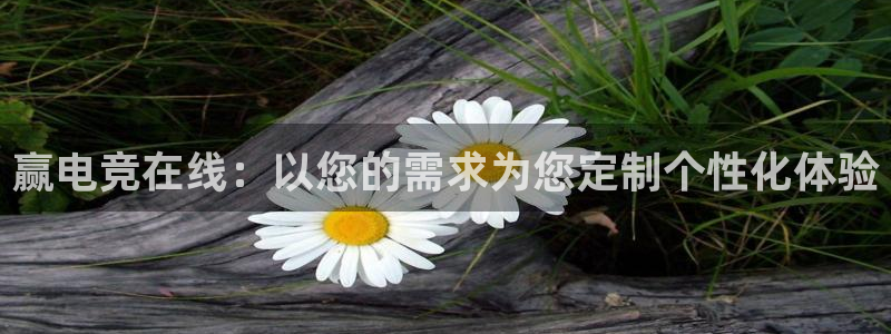 威客电竞官网：赢电竞在线：以您的需求为您定制个性化体验