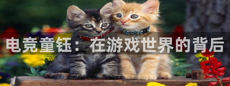 vk威客电竞：电竞童钰：在游戏世界的背后