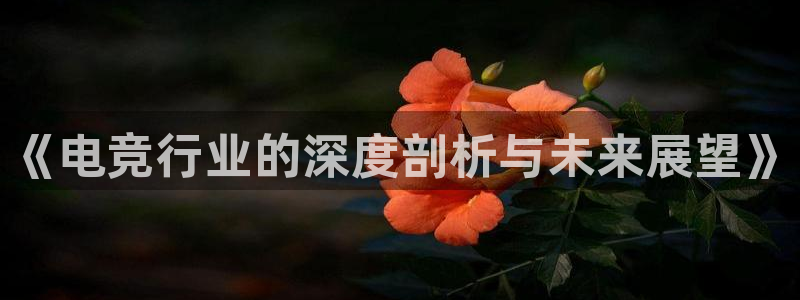威客电竞集团：《电竞行业的深度剖析与未来展望》