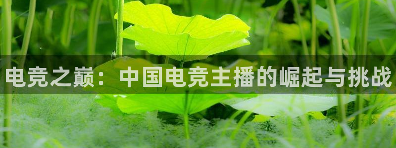 威客电竞官网下载：电竞之巅：中国电竞主播的崛起与挑战