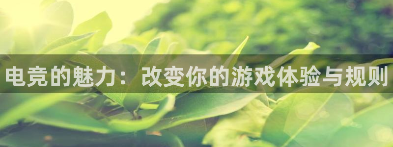 威客电竞：电竞的魅力：改变你的游戏体验与规则