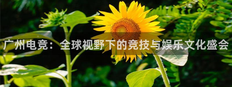 威客电竞集团：广州电竞：全球视野下的竞技与娱乐文化盛会