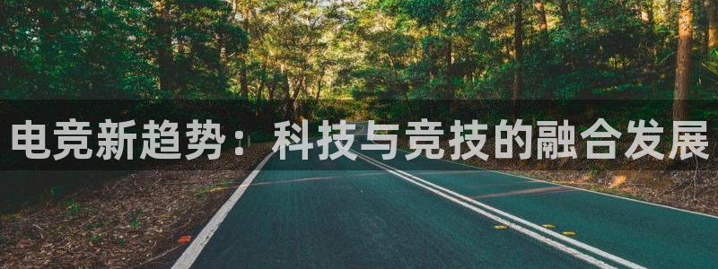 威客电竞测速：电竞新趋势：科技与竞技的融合发展