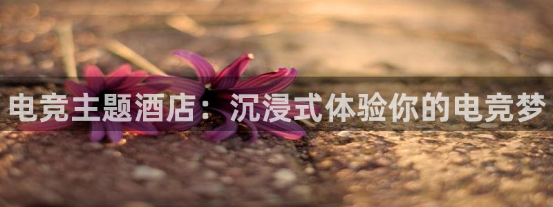 vkgame威客电竞：电竞主题酒店：沉浸式体验你的电竞梦