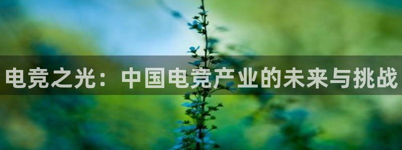 威客电竞官网下载：电竞之光：中国电竞产业的未来与挑战
