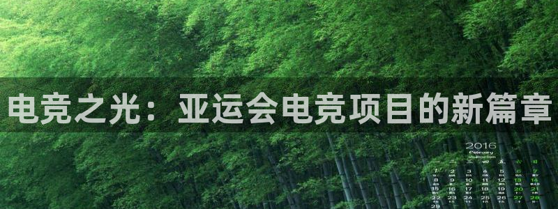 威客电竞：电竞之光：亚运会电竞项目的新篇章