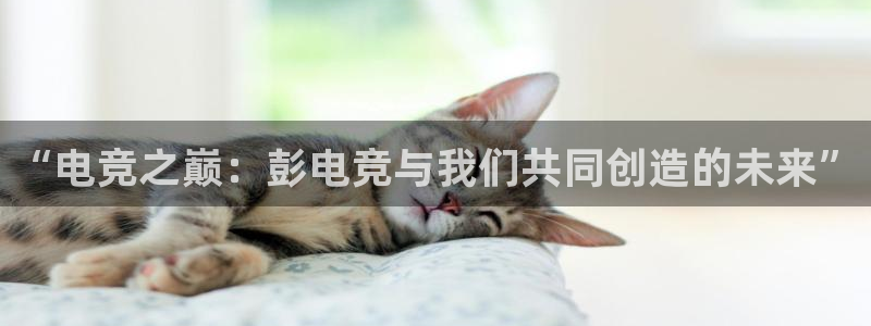 威客电竞网页版入口：“电竞之巅：彭电竞与我们共同创造的未来”